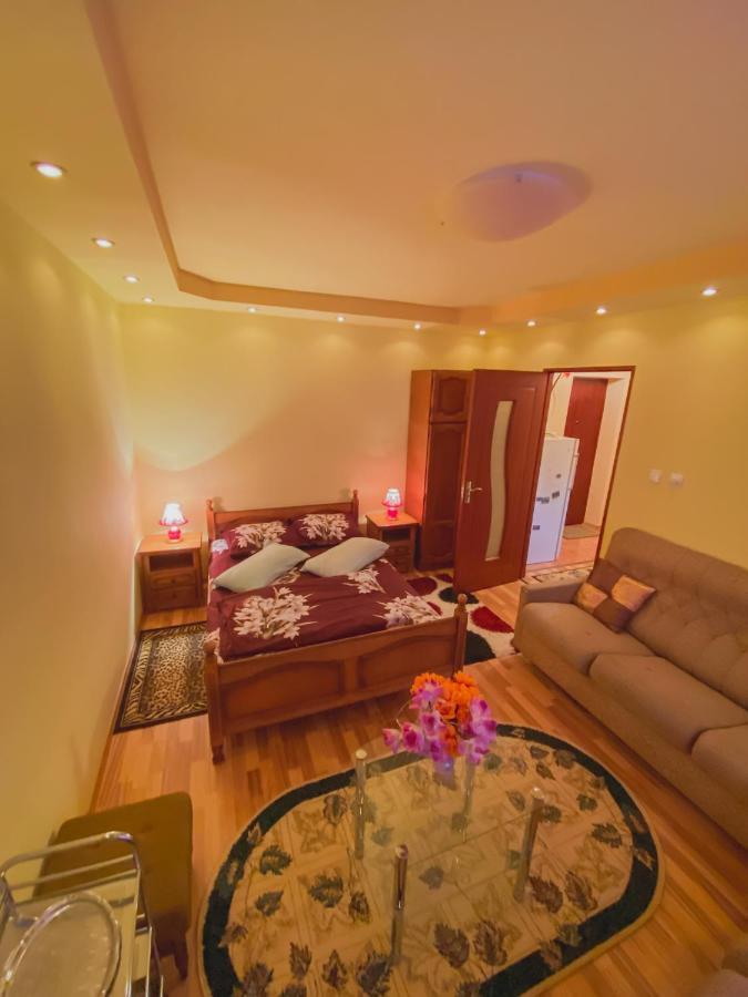 Apartament Cristian Geoagiu Bai Luaran gambar