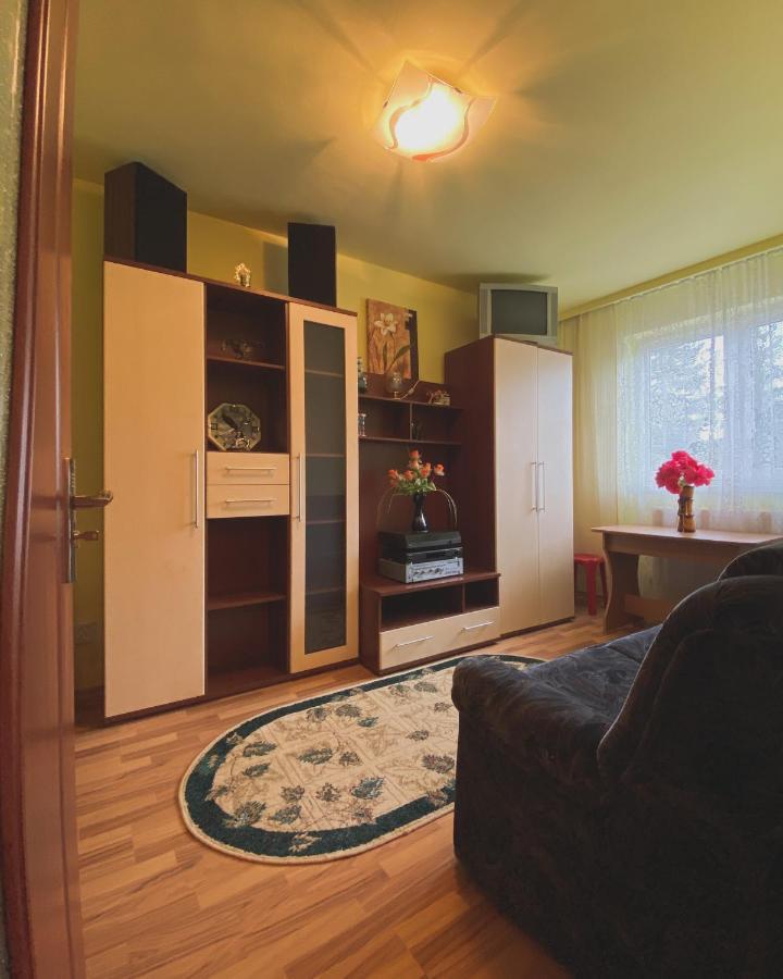 Apartament Cristian Geoagiu Bai Luaran gambar